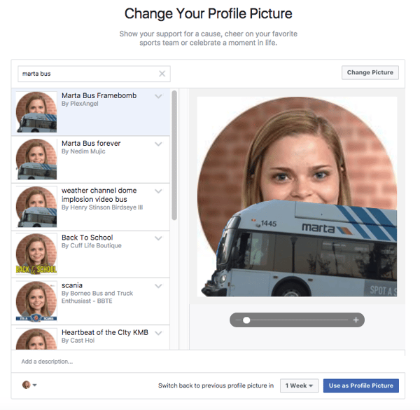 Alexis Custom Facebook Profile Frame Example