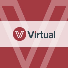 Virtual Inc. 